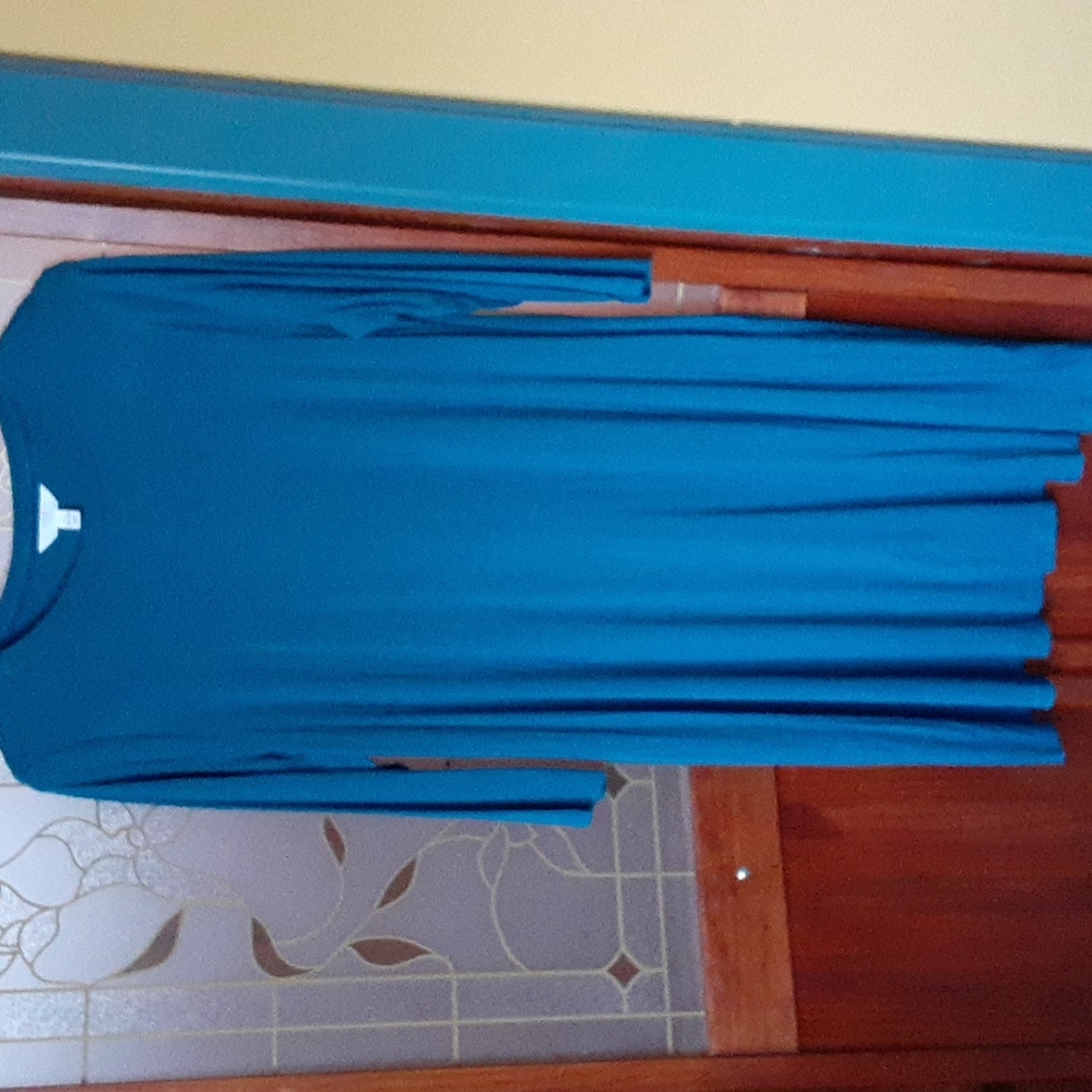 NWOT Time & Tru Teal Green Long-sleeved Swing dress size L